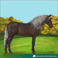Horse Color:Silver Brown 