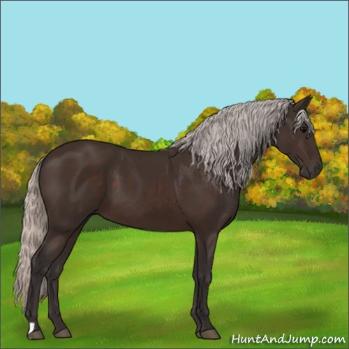 Horse Color:Silver Brown