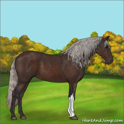 Horse Color:Silver Brown 