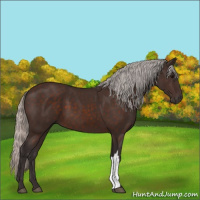Horse Color:Silver Brown 