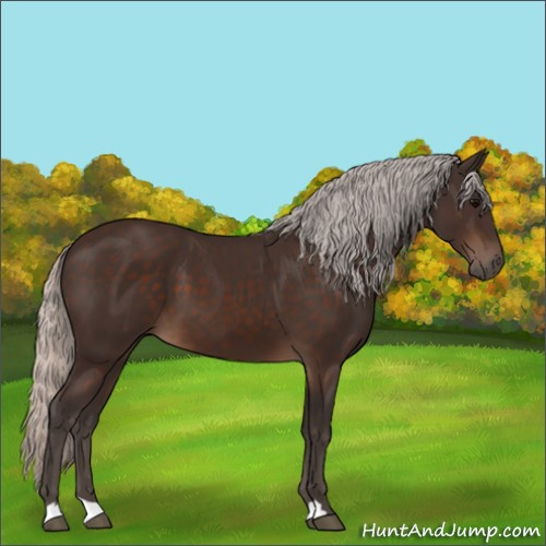 Horse Color:Silver Brown
