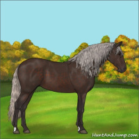 Horse Color:Silver Brown