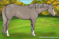 Horse Color:Silver Grullo Sabino 