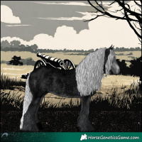 Horse Color:Void Silver Brown Chinchilla Roan 