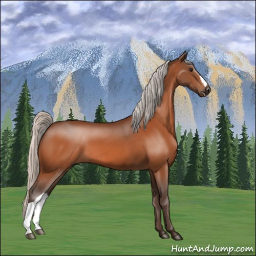 Horse Color:Silver Bay 