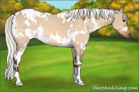 Horse Color:White Spotted Silver Brown Dun 