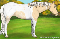 Horse Color:Silver Amber Cream Champagne Tobiano Snowcap Rabicano