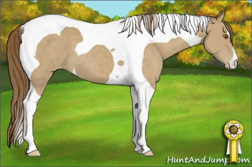 Horse Color:Classic Cream Champagne Tobiano Varnish