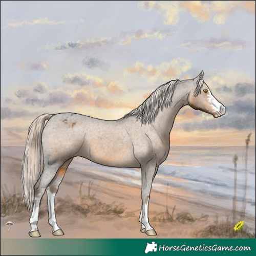 Horse Color:Chocolate Palomino Mushroom Varnish 