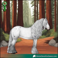 Horse Color:Platinum Silver Buckskin Roan Varnish 