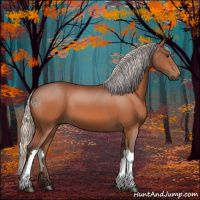 Horse Color:Silver Brown 