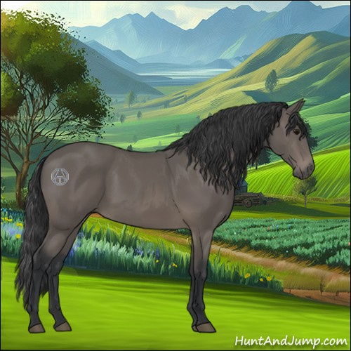 Horse Color:Black 