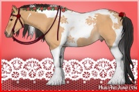 Horse Color:Bay Dun Tobiano Rabicano