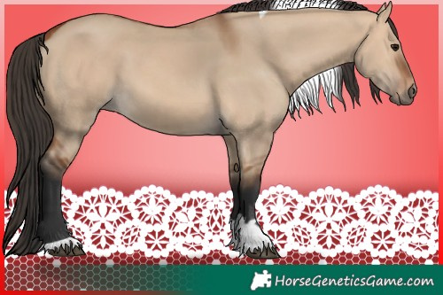Horse Color:Bay Dun Tobiano 