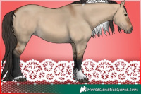 Horse Color:Bay Dun Tobiano
