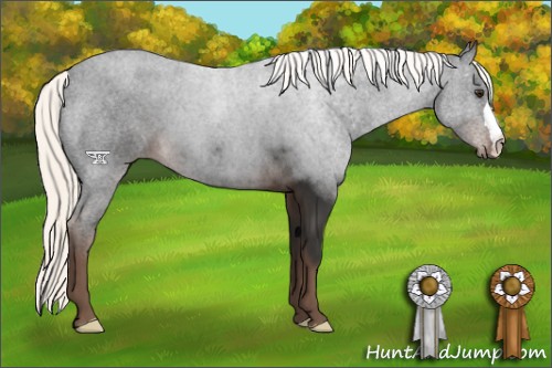 Horse Color:Liver Chestnut Mushroom