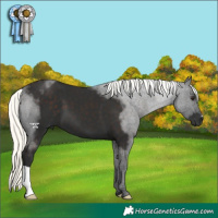 Horse Color:Liver Chestnut Mushroom 
