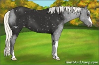 Horse Color:Liver Chestnut Mushroom Snowflake Varnish 