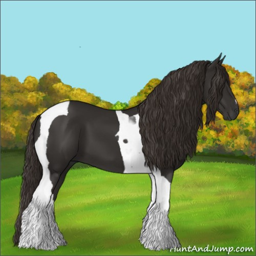 Horse Color:Liver Chestnut Tobiano