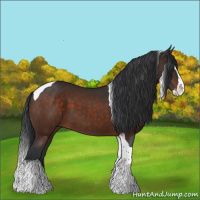 Horse Color:Brown Sabino Splash Tobiano 