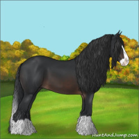 Horse Color:Brown Splash 