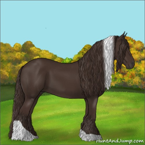 Horse Color:Liver Chestnut Tobiano