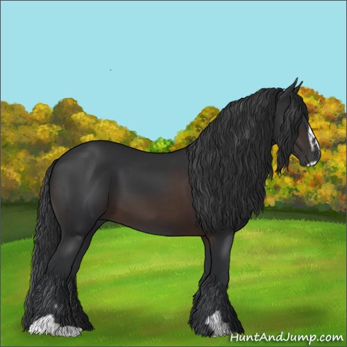 Horse Color:Brown Sabino