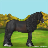 Horse Color:Brown Sabino 
