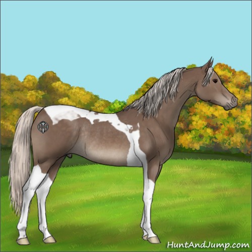 Horse Color:Silver Black Tobiano Rabicano 