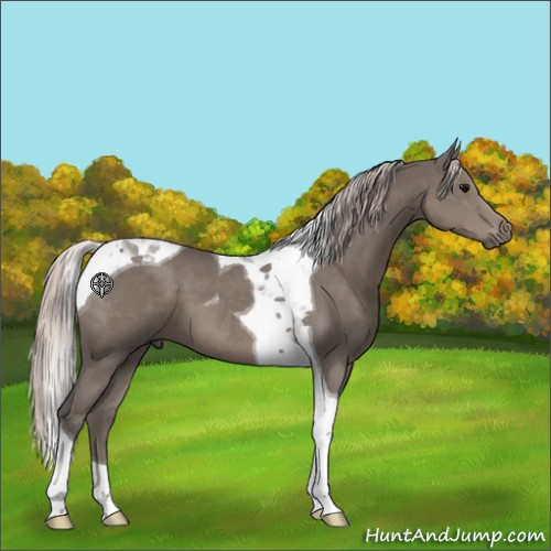 Horse Color:Silver Black Tobiano 