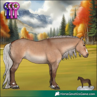 Horse Color:Silver Brown Dun 