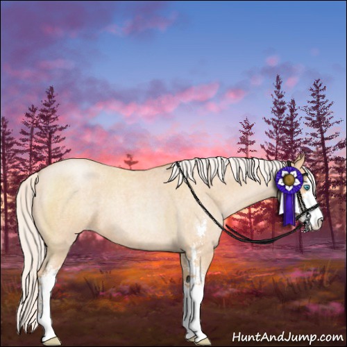 Horse Color:Silver Buckskin Roan Pearl Sabino 