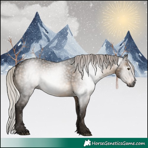 Horse Color:Gray Silver Brown Dun 