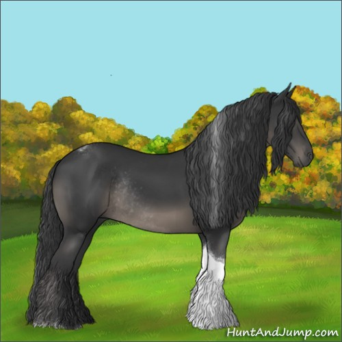 Horse Color:Black Tobiano Rabicano 