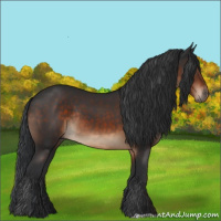 Horse Color:Brown Rabicano