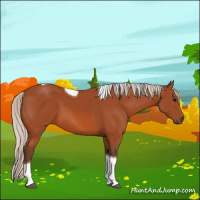 Horse Color:Silver Bay Tobiano 