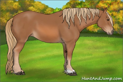 Horse Color:Chestnut Tobiano 