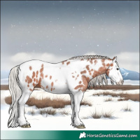 Horse Color:Silver Bay Roan Splash Tobiano Near Leopard 