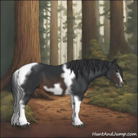 Horse Color:Brown Tobiano Frame 