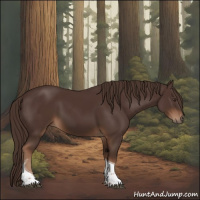 Horse Color:Liver Chestnut Tobiano 