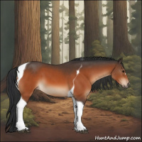 Horse Color:Bay Tobiano 