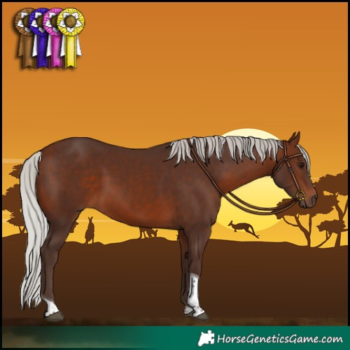 Horse Color:Silver Brown Tobiano 