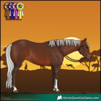 Horse Color:Silver Brown Tobiano 