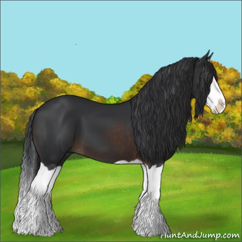 Horse Color:Brown Splash