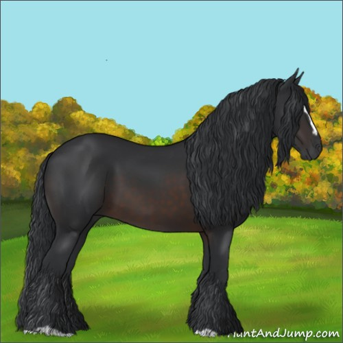 Horse Color:Brown Sabino