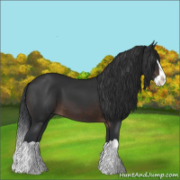 Horse Color:Brown Splash