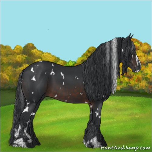 Horse Color:White Spotted Brown Sabino