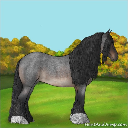 Horse Color:Brown Roan 