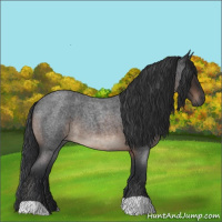 Horse Color:Brown Roan