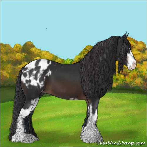 Horse Color:Brown Sabino Blanket